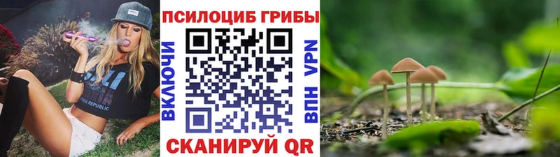 Псилоцибиновые грибы MAGIC MUSHROOMS купить закладку Александровское